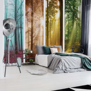 Papel de parede 4 Seasons In The Forest