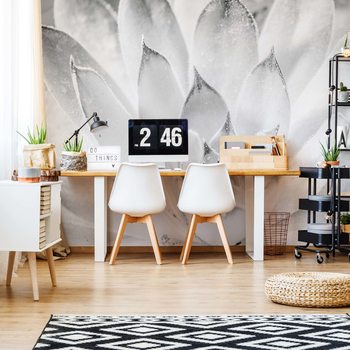 Papel de parede Aloe Plant Black And White