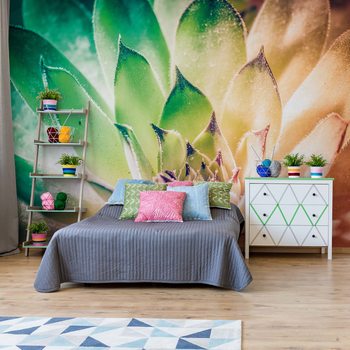 Papel de parede Aloe Plant Green And Orange