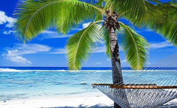 Papel de parede Beach Sea Sand Palms Hammock