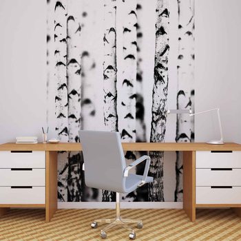 Papel de parede Birch Trees
