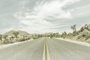 Papel de parede Country Road with Joshua Trees