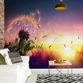 Papel de parede Dandelion Sunset