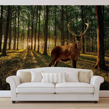 Papel de parede Deer Forest Trees Nature