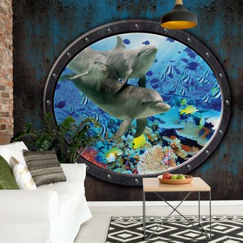 Papel de parede Dolphins Coral Reef Underwater Submarine Window View