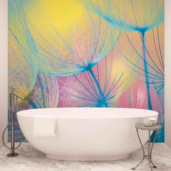 Papel de parede Flower Dandelion