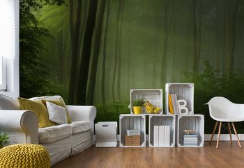 Papel de parede Forest Morning