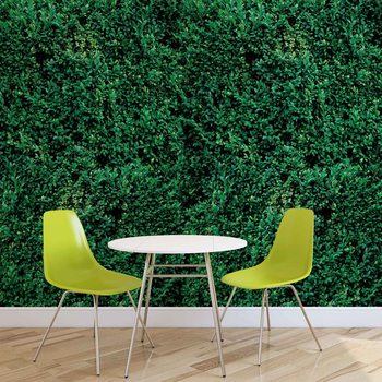 Papel de parede Grass Texture