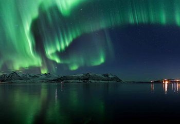 Papel de parede Magical Night