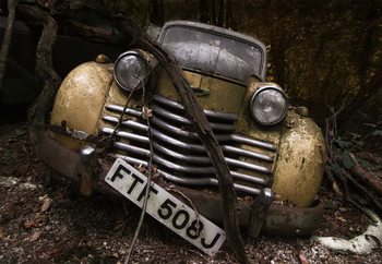 Papel de parede Opel Olympia