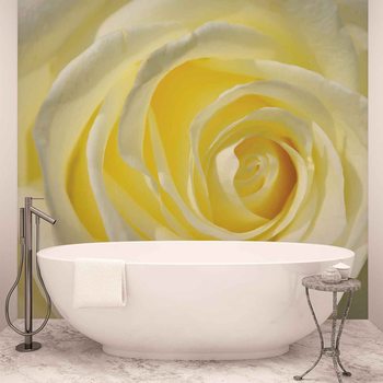 Papel de parede Rose Flower White Yellow