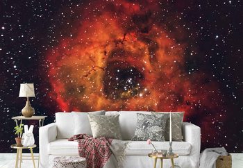 Papel de parede The Rose In The Sky