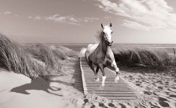 Papel de parede White Horse Beach Grey