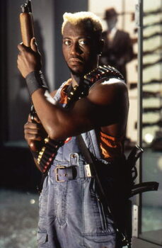 Принти на полотні Demolition Man - Wesley Snipes