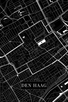 Slika na platnu Den Haag black