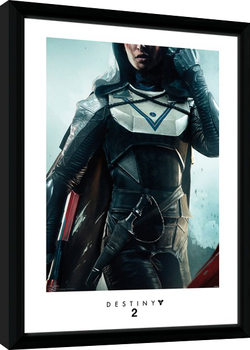 Framed Poster Destiny 2 - Hunter