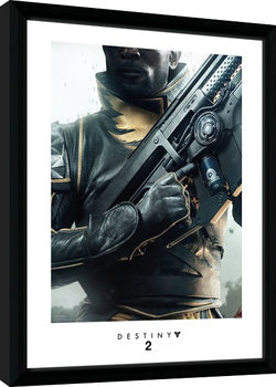 Framed poster Destiny 2 - Warlock