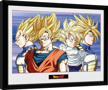 Poster emoldurado Dragon Ball Z - Group