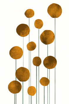Kuva Waterflowers no.2