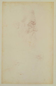 Sketch of a male head and two legs Taidejuliste