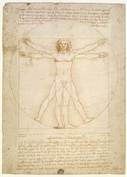 The Proportions of the human figure (after Vitruvius), c.1492 Taidejuliste