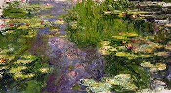 Waterlilies Taidejuliste