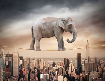 Sticker Elephant balancing on the rope