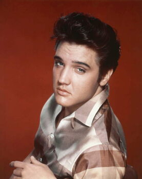 Наклейка Elvis Presley