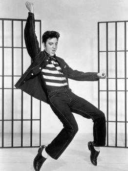T-paita Elvis Presley