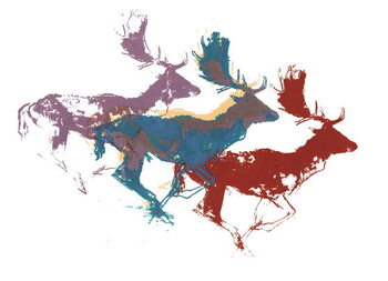 Принти на полотні Fallow Bucks (three), 2015