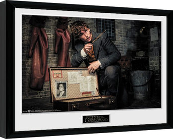 Poster emoldurado Fantastic Beasts 2 - Newt Suitcase
