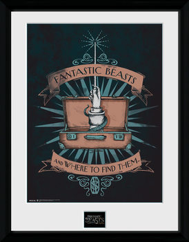 Poster emoldurado Fantastic Beasts - Illustration
