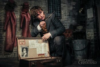 Canvas Print Fantastic Beasts - Newt and magic case