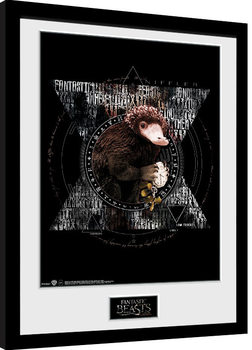 Framed Poster Fantastic Beasts - Niffler Circle