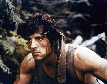 Canvas Print Sylvester Stallone