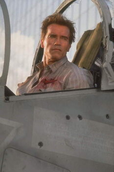 Canvas Print True Lies by James Cameron, 1994