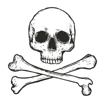 T-shirt vector illustration of skull and crossbones
