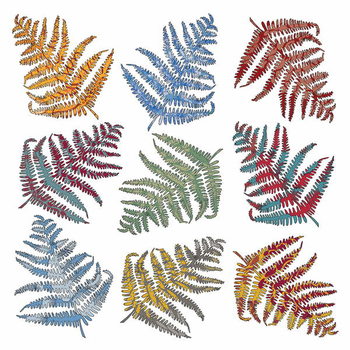 Принти на полотні Ferns, 2012