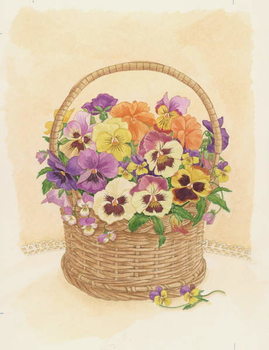 Fine Art Print  Basket of Pansies, 1998