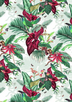 Fine Art Print  Nicaragua