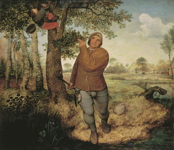 Fine Art Print Peasant and Birdnester, 1568