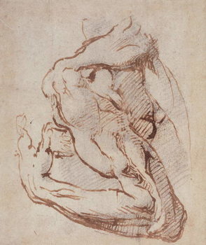 Fine Art Print Study of an Arm (ink) Inv.1859/5/14/819