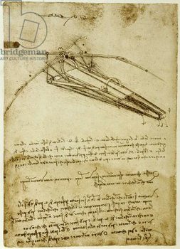 Fine Art Print  The Machine for flying by Leonardo da Vinci  - Codex Atlantique
