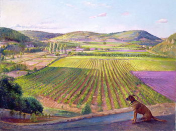 Fine Art Print  Watching from the Walls, Old Provence, 1993