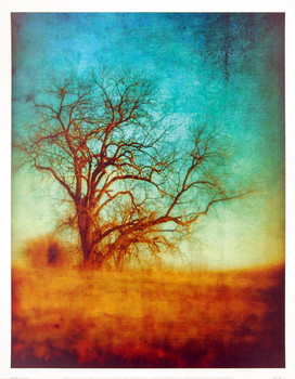 Art Print Fine Print