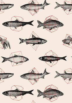 Sticker Fishes in Geometrics