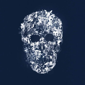 Принти на полотні FloralSkull, 2018