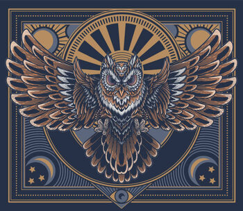 Футболка Flying owl poster.