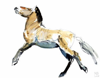Принти на полотні Free (Przewalski),2012,