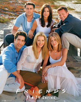 Πλαισιωμένη αφίσα Friends